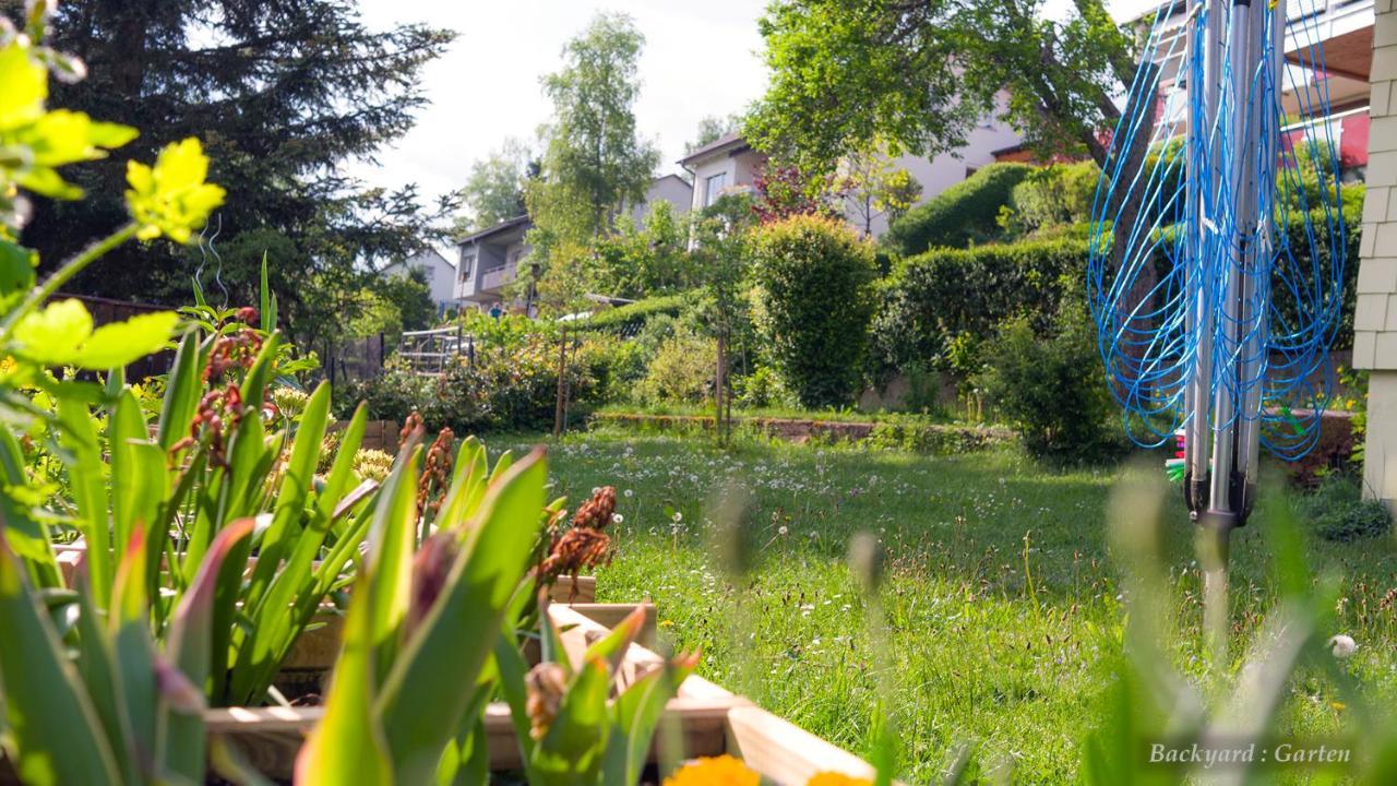 Unterkirnach Entire House In Schwarzwald With Mountain View, Private Sauna, Gym, Garden And Terraces מראה חיצוני תמונה
