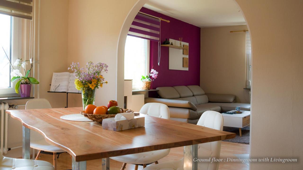 Unterkirnach Entire House In Schwarzwald With Mountain View, Private Sauna, Gym, Garden And Terraces מראה חיצוני תמונה
