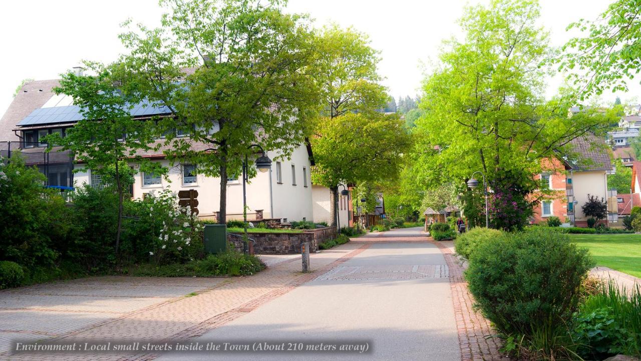Unterkirnach Entire House In Schwarzwald With Mountain View, Private Sauna, Gym, Garden And Terraces מראה חיצוני תמונה