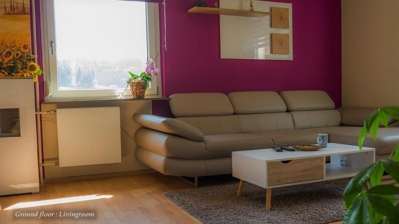 Unterkirnach Entire House In Schwarzwald With Mountain View, Private Sauna, Gym, Garden And Terraces מראה חיצוני תמונה