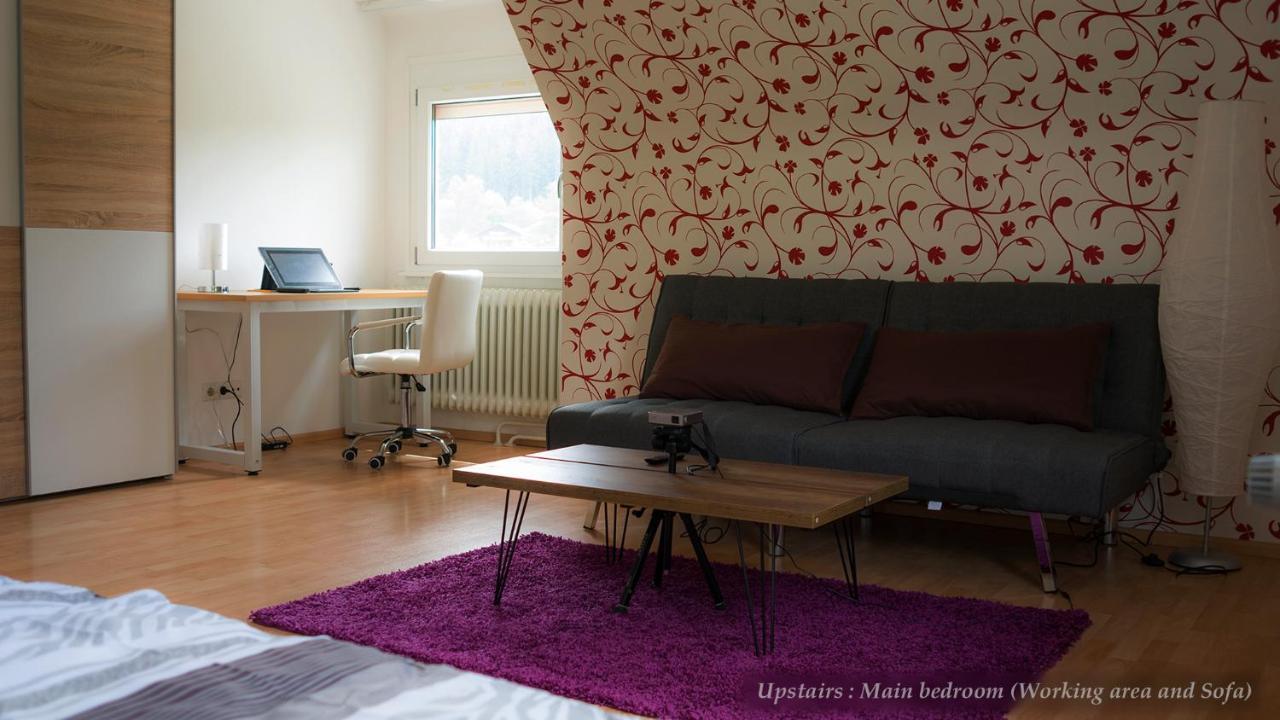 Unterkirnach Entire House In Schwarzwald With Mountain View, Private Sauna, Gym, Garden And Terraces מראה חיצוני תמונה