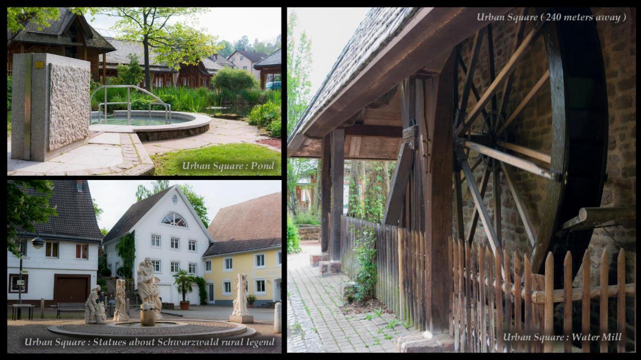 Unterkirnach Entire House In Schwarzwald With Mountain View, Private Sauna, Gym, Garden And Terraces מראה חיצוני תמונה