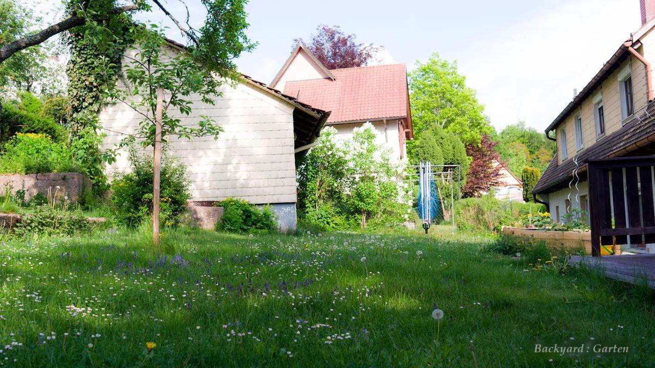Unterkirnach Entire House In Schwarzwald With Mountain View, Private Sauna, Gym, Garden And Terraces מראה חיצוני תמונה